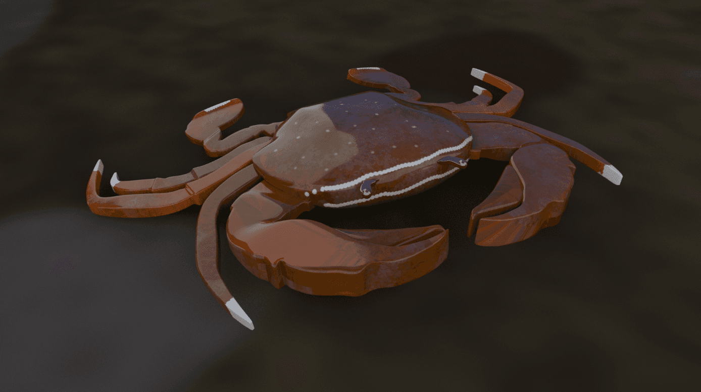 Crab close-up
