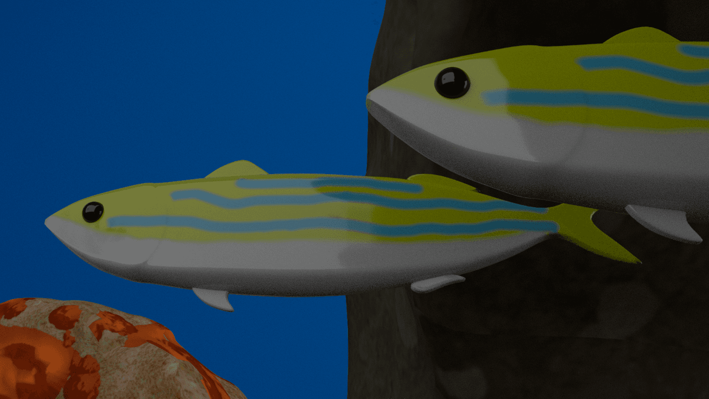 Fish close-up