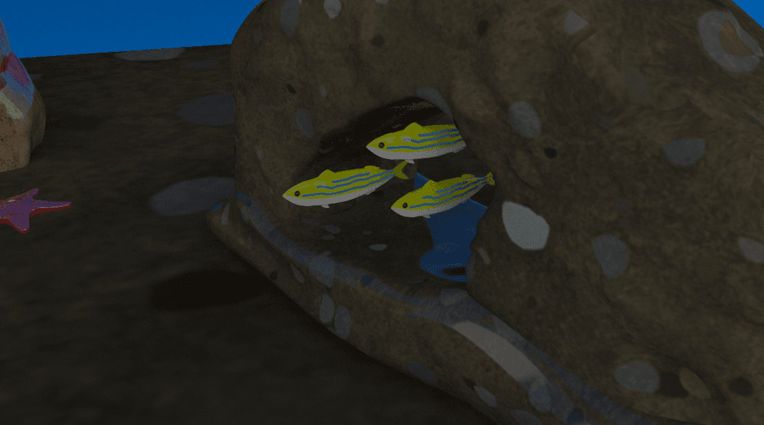 Fish swimming through arch