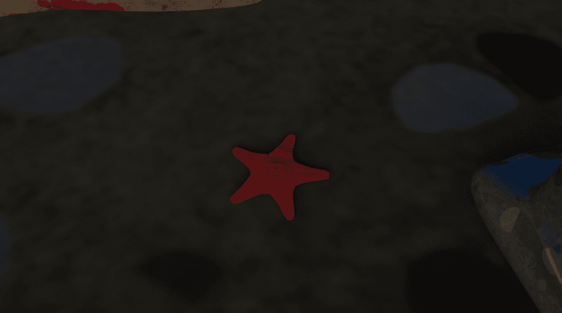 Starfish