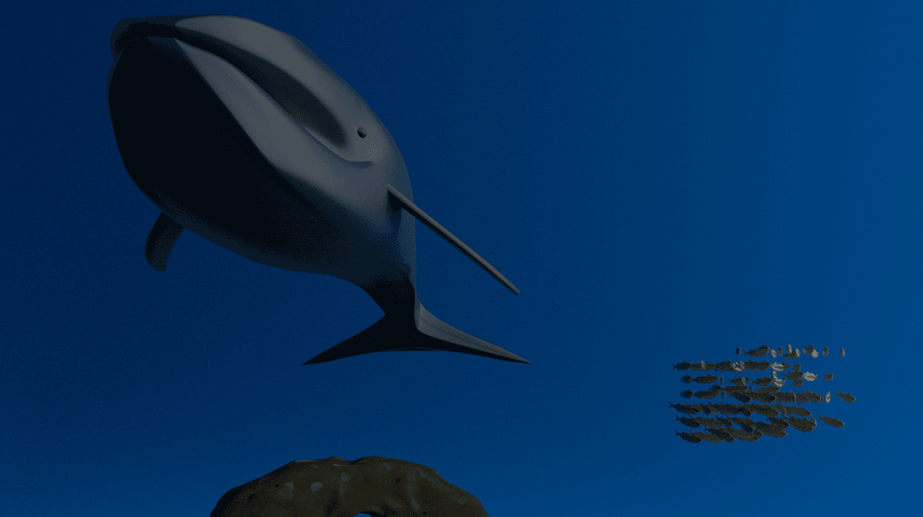 Blue whale front